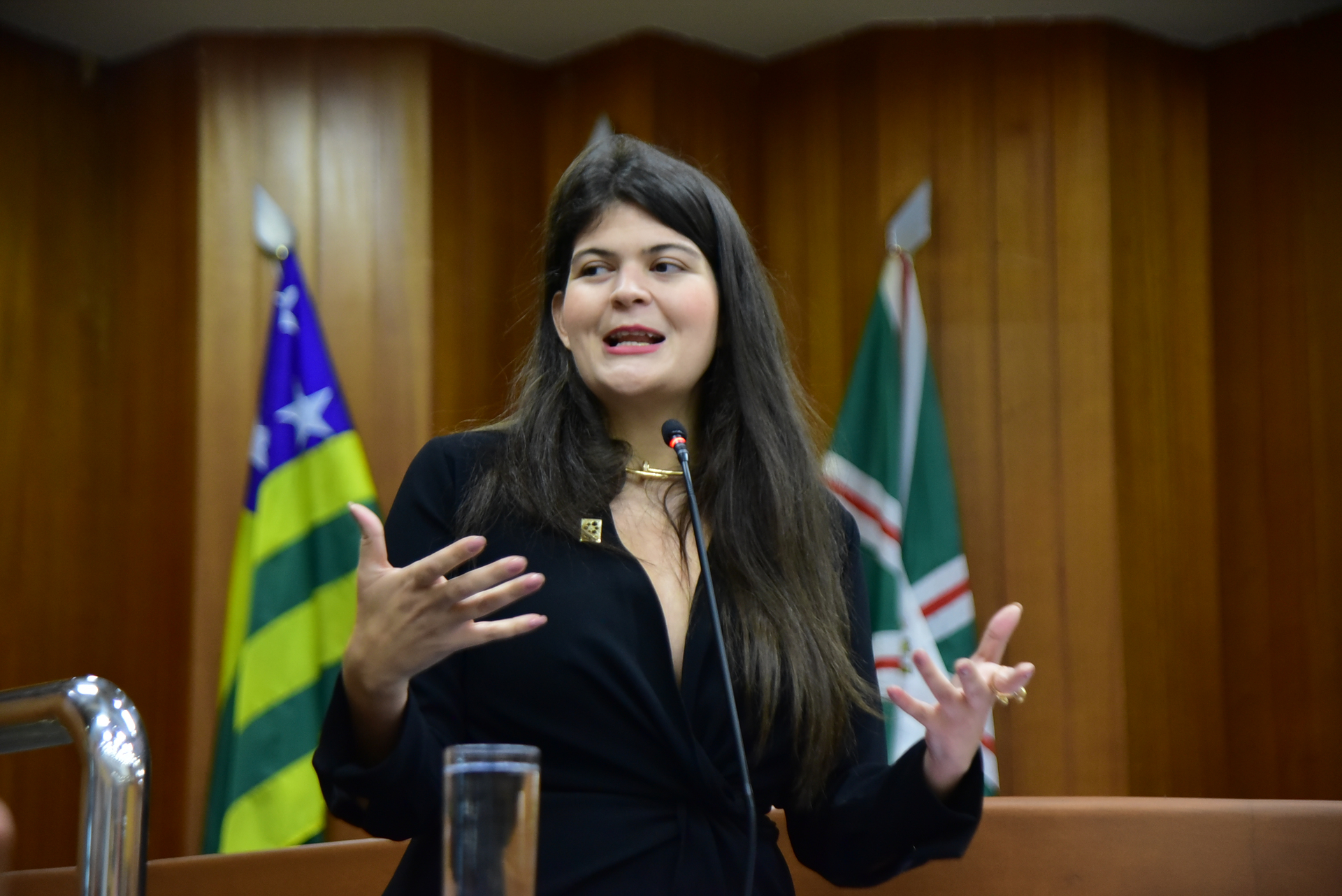 FOTO ANTONIO  SILVA (24).JPG