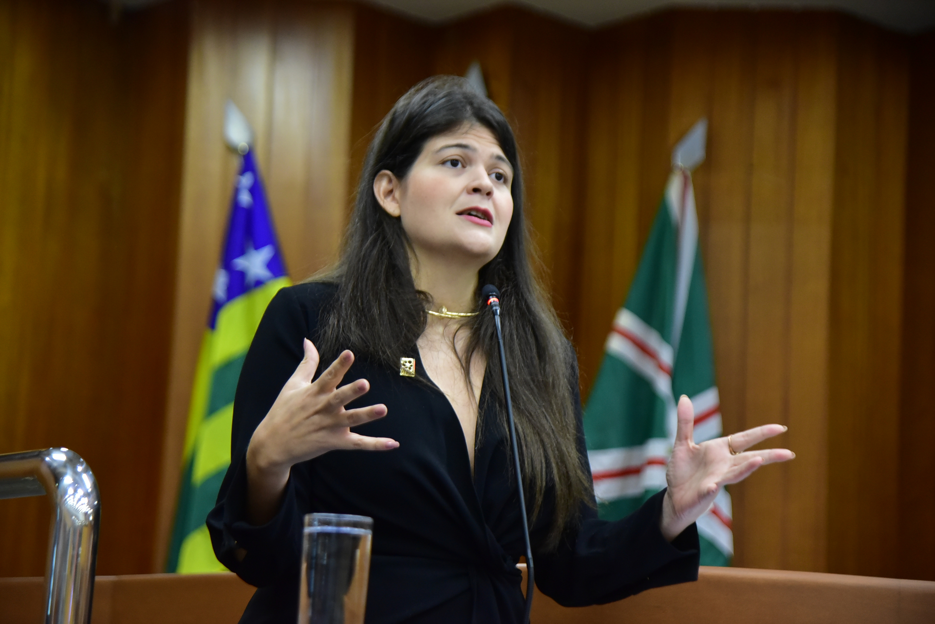 FOTO ANTONIO  SILVA (26).JPG