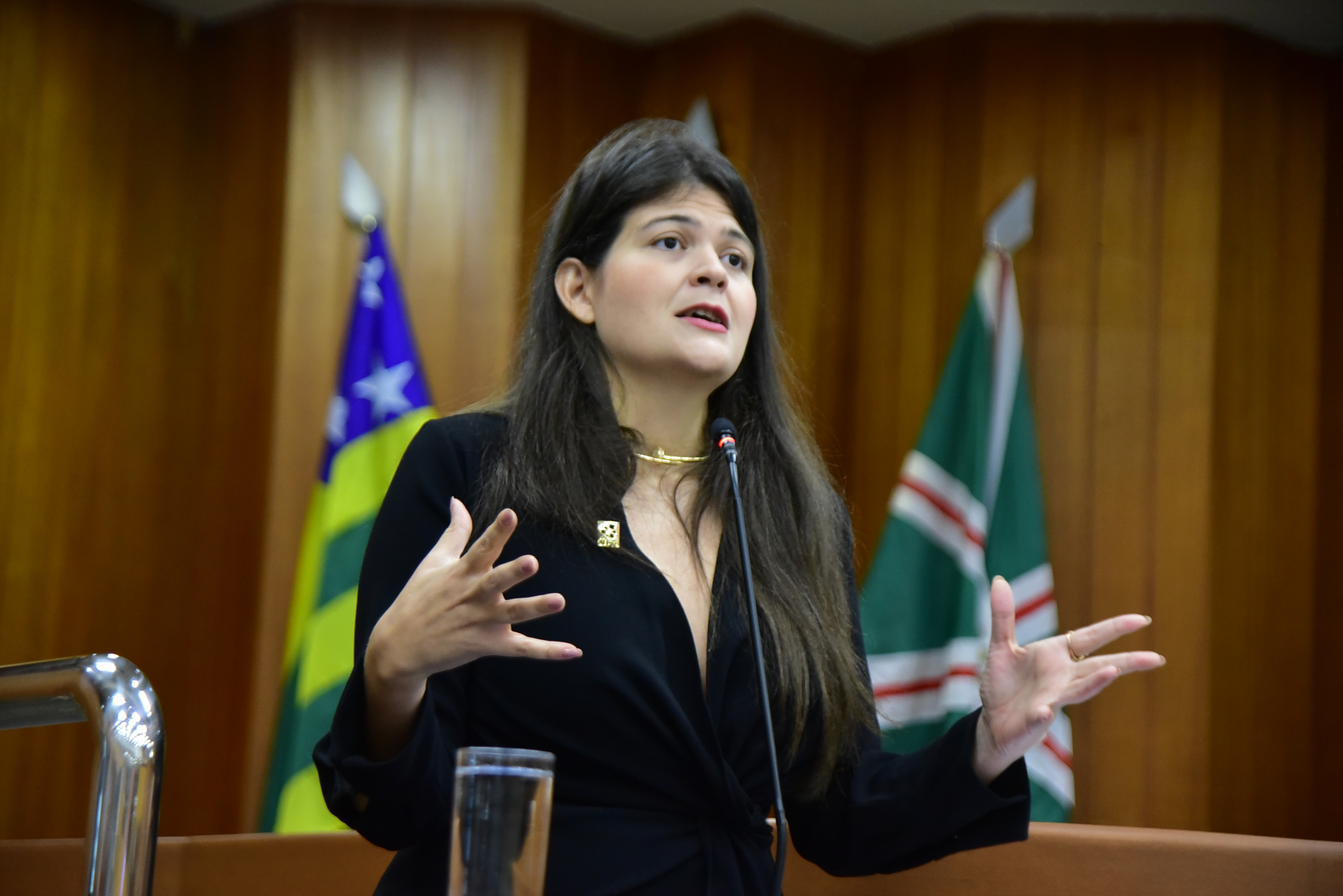 FOTO ANTONIO  SILVA (27).JPG