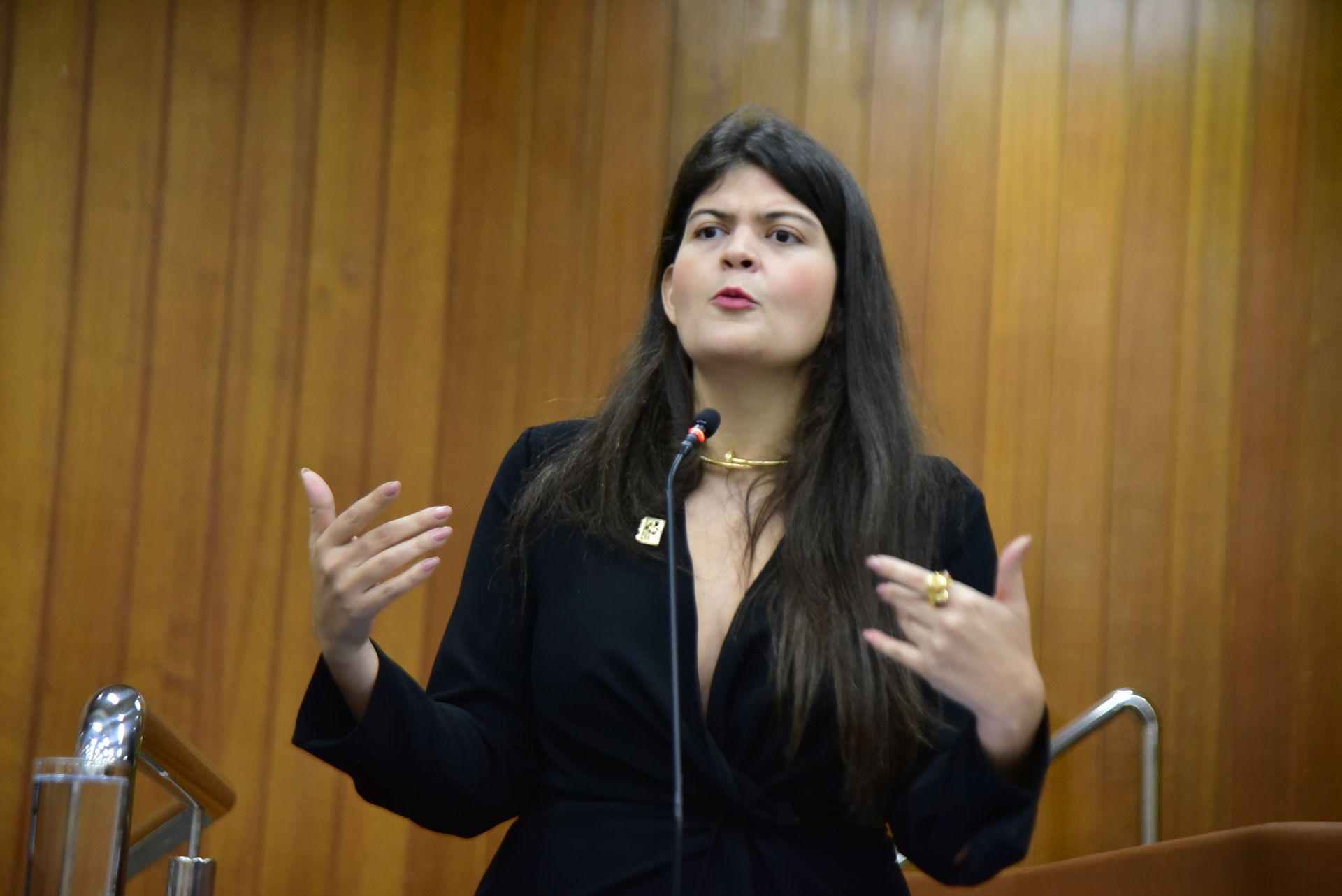 FOTO ANTONIO  SILVA (30).JPG