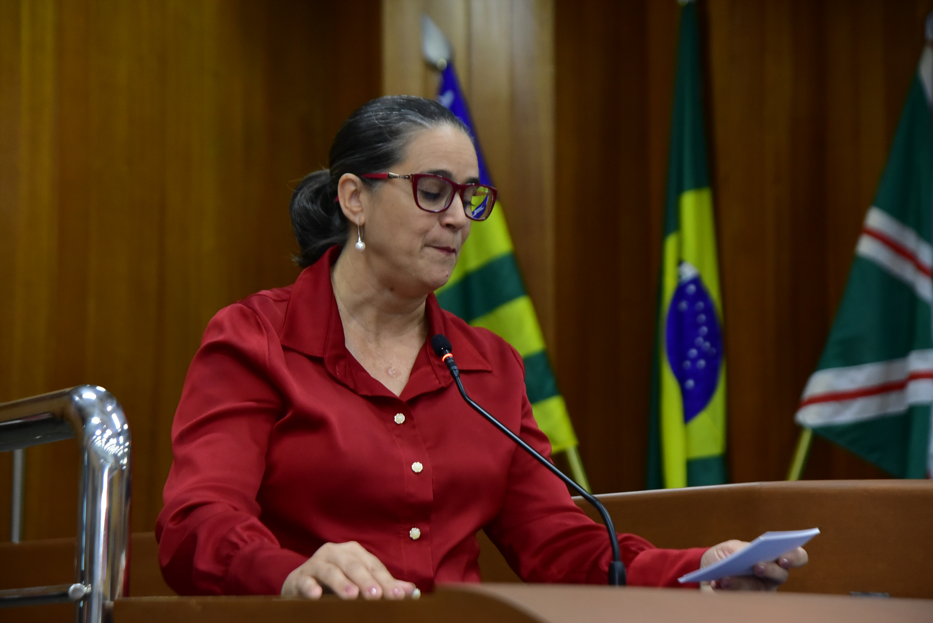 FOTO ANTONIO SILVA (23).JPG