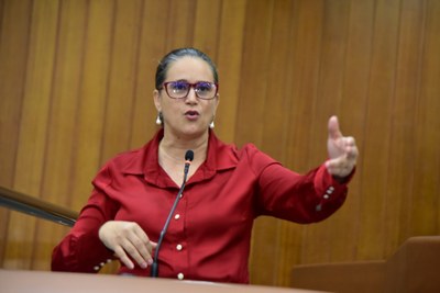 FOTO ANTONIO SILVA (55).JPG
