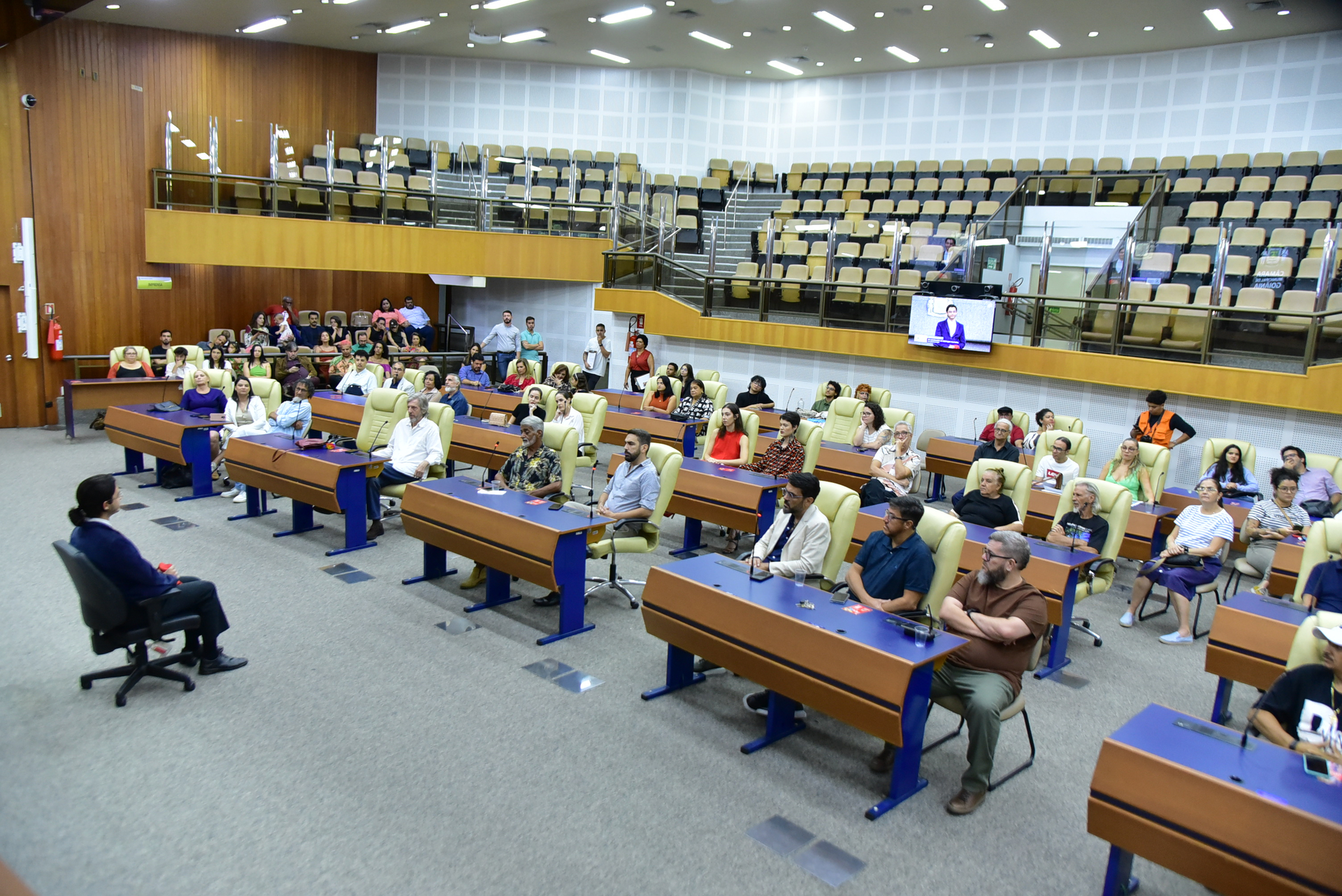 FOTO ANTONIO SILVA (86).JPG