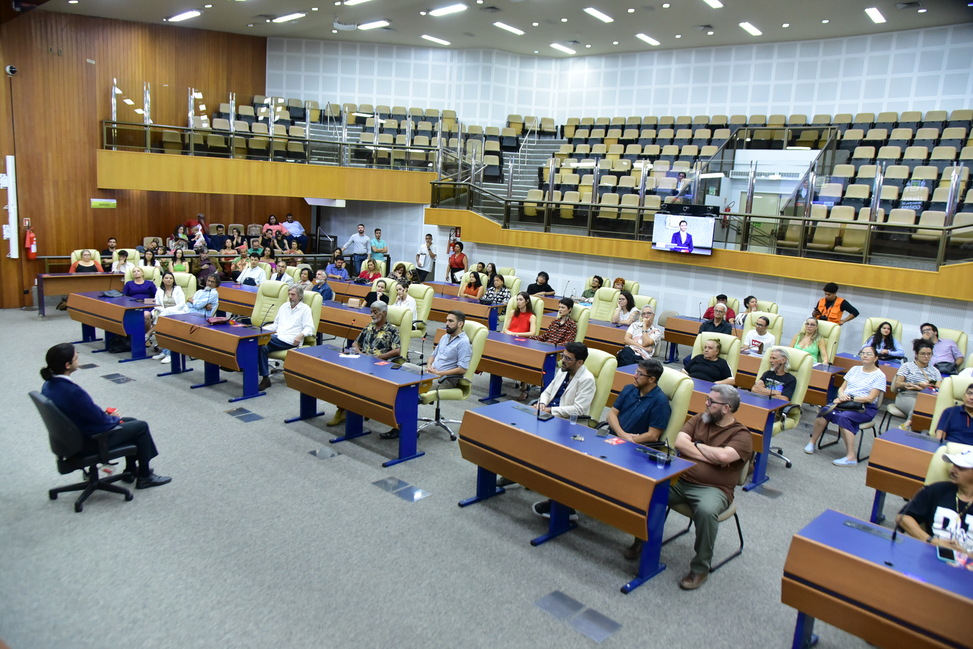 FOTO ANTONIO SILVA (87).JPG