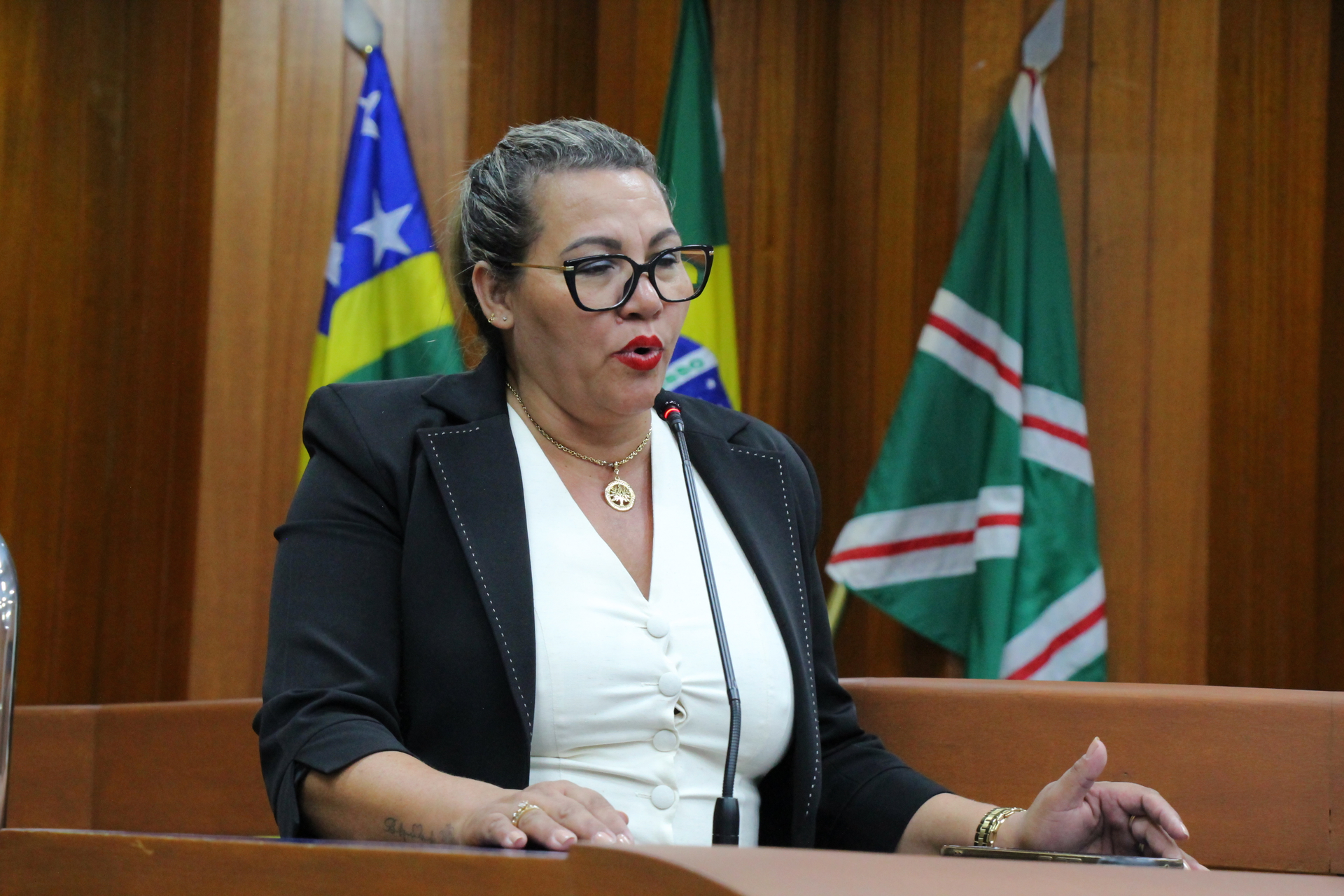 FOTO ANTONIO SILVA (150).JPG