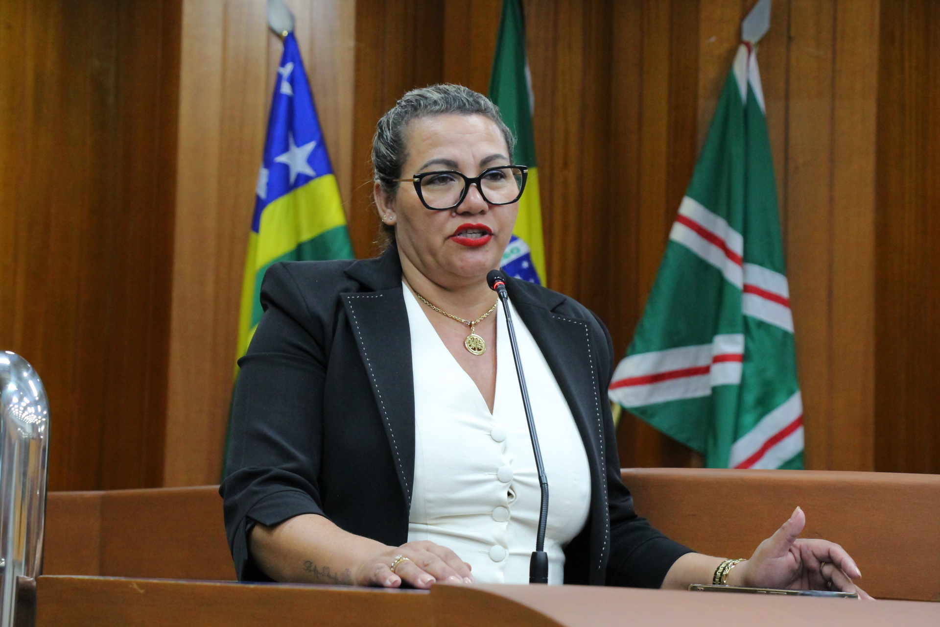 FOTO ANTONIO SILVA (151).JPG