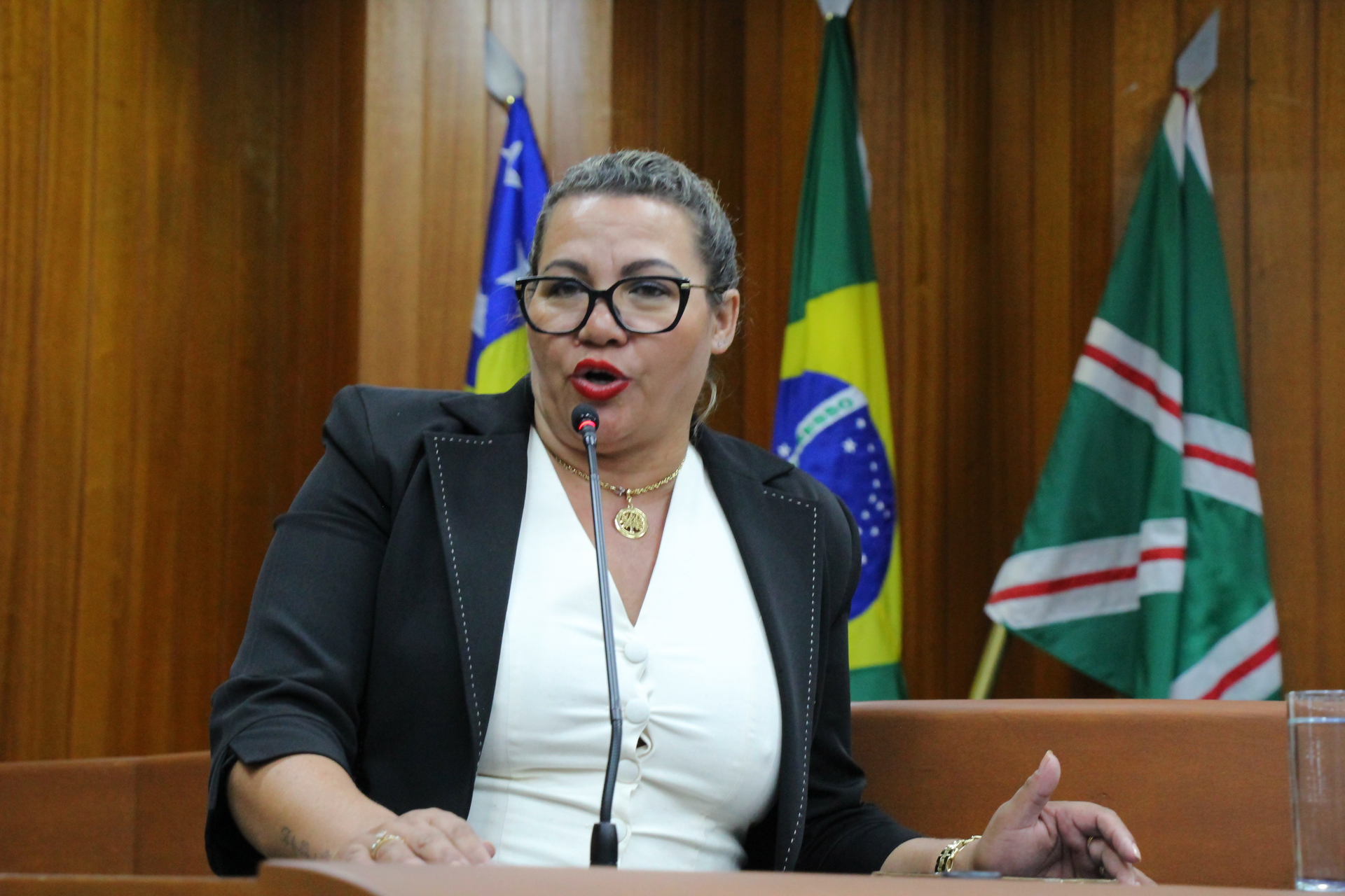 FOTO ANTONIO SILVA (153).JPG