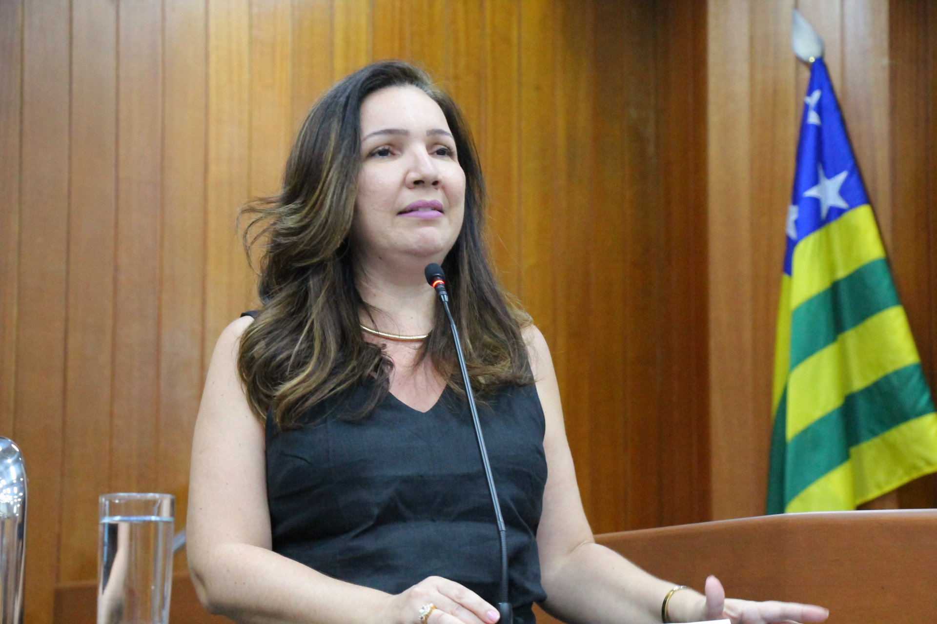 FOTO ANTONIO SILVA (120).JPG