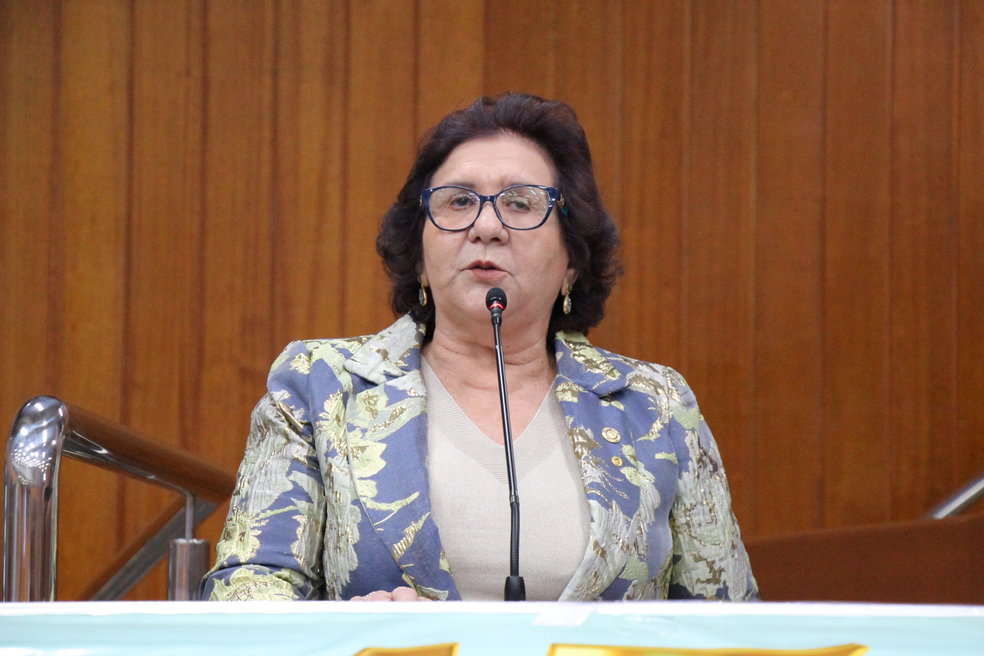 FOTO ANTONIO SILVA (179).JPG