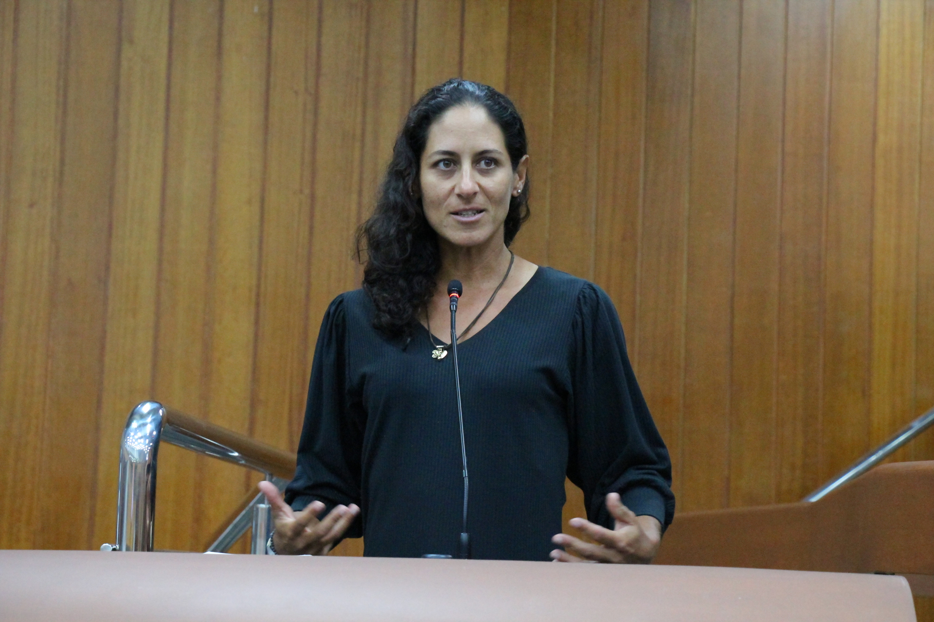 FOTO ANTONIO SILVA (222).JPG