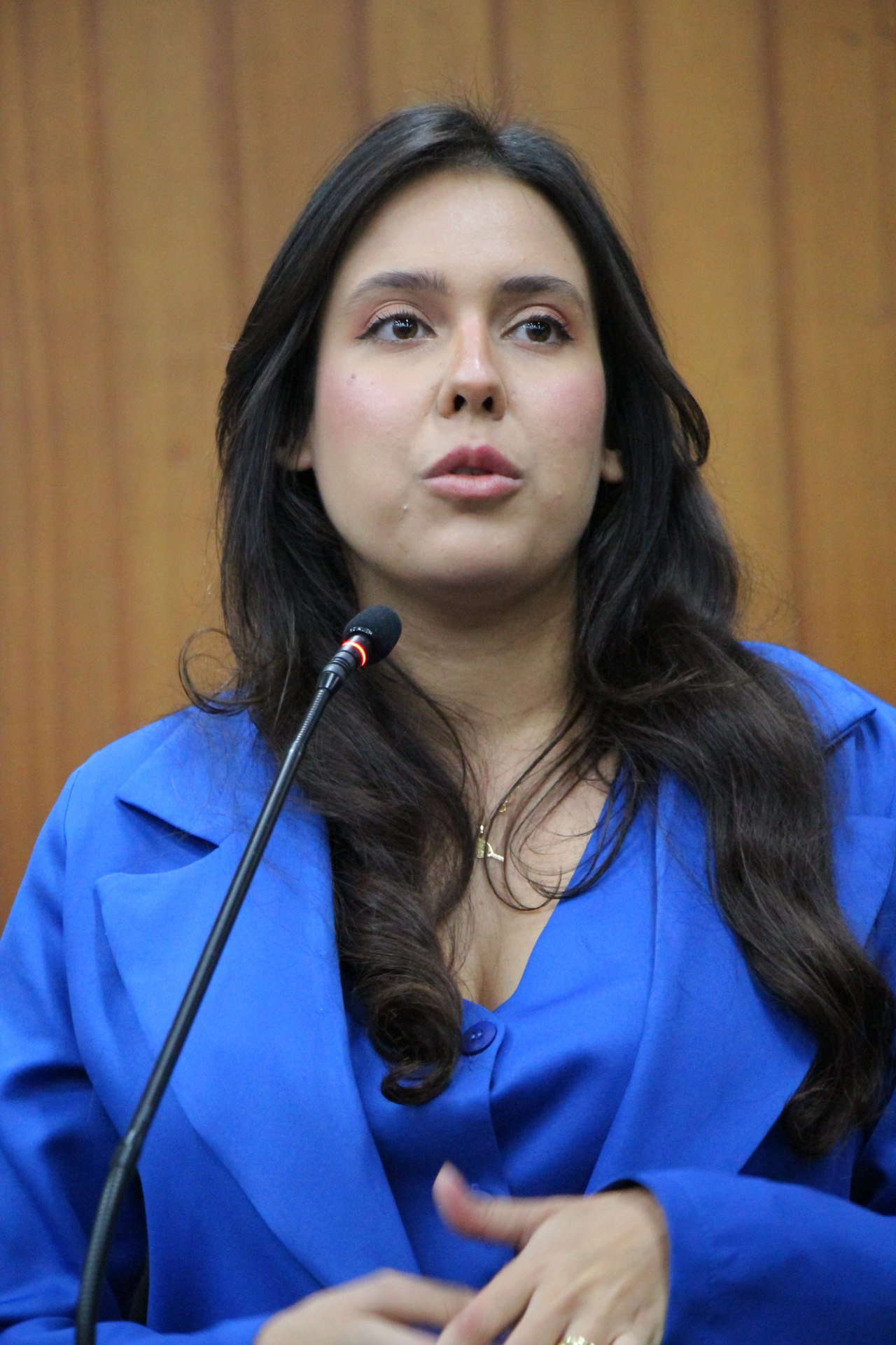 FOTO ANTONIO SILVA (263).JPG