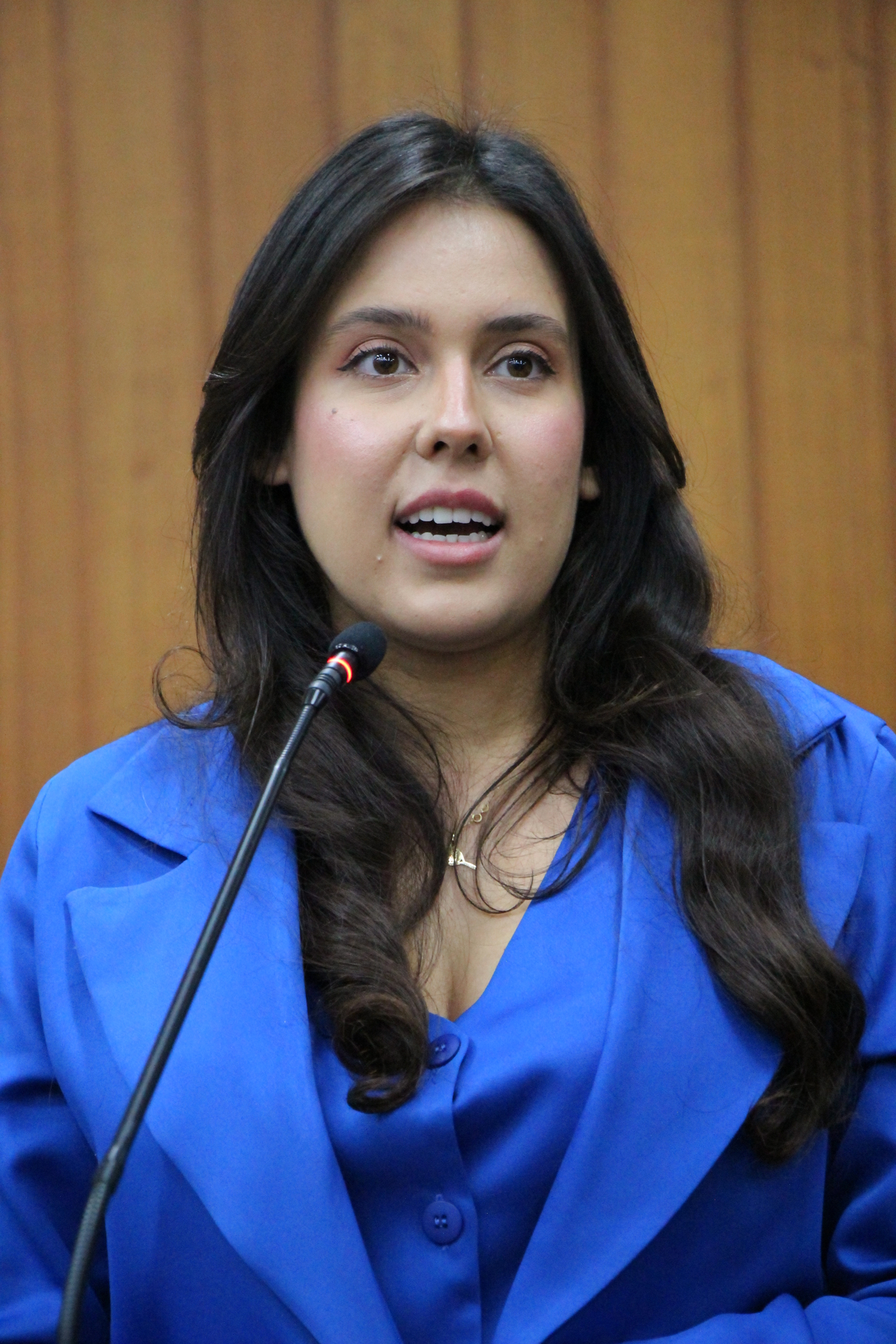 FOTO ANTONIO SILVA (264).JPG