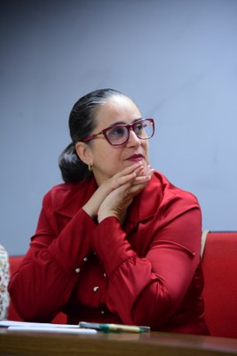 FOTO ANTONIO SILVA (40).JPG