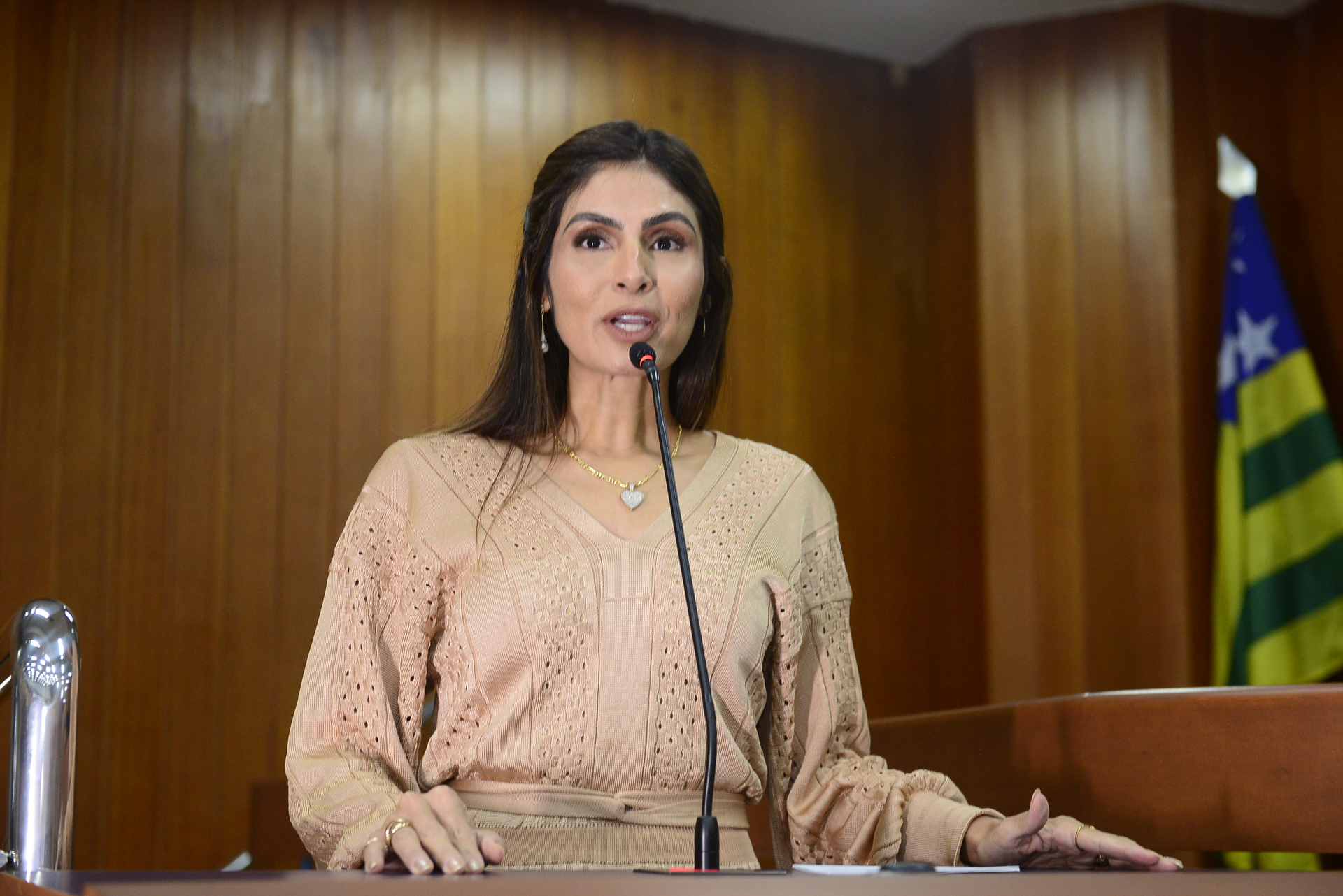 FOTO ANTONIO SILVA (25).JPG