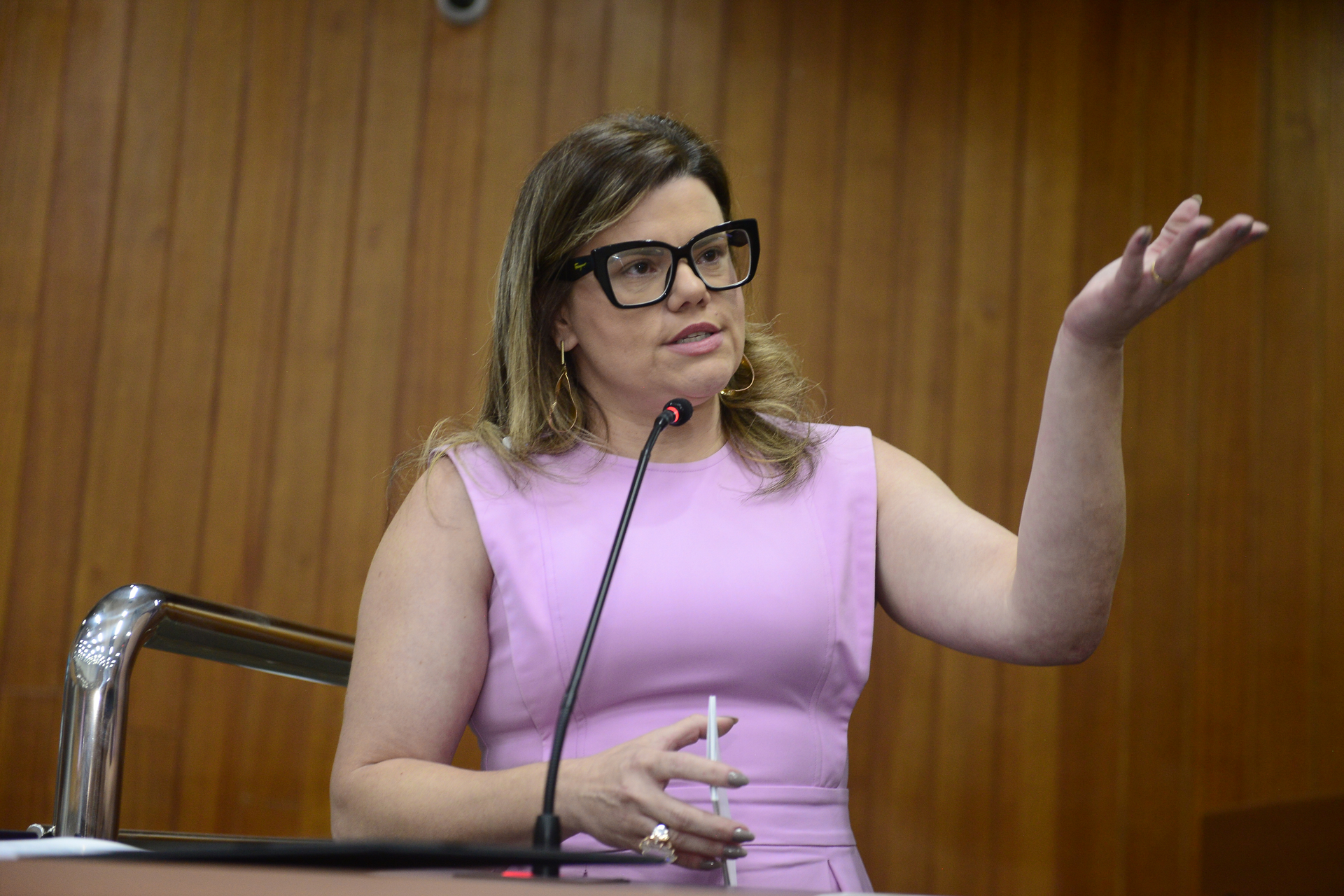 FOTO ANTONIO SILVA (68).JPG