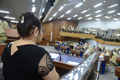FOTO ANTONIO SILVA (11).JPG