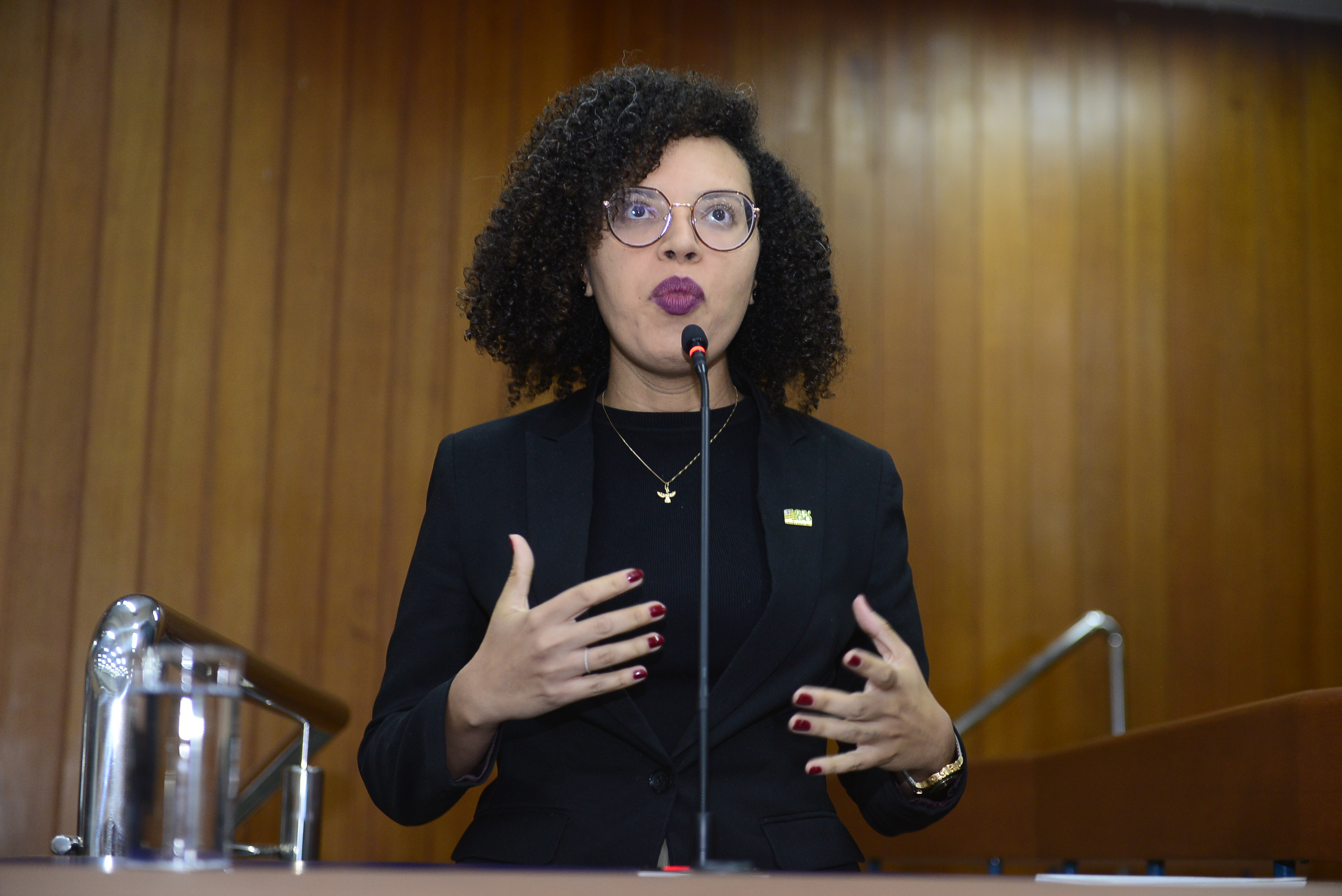  FOTO ANTONIO SILVA (28).JPG