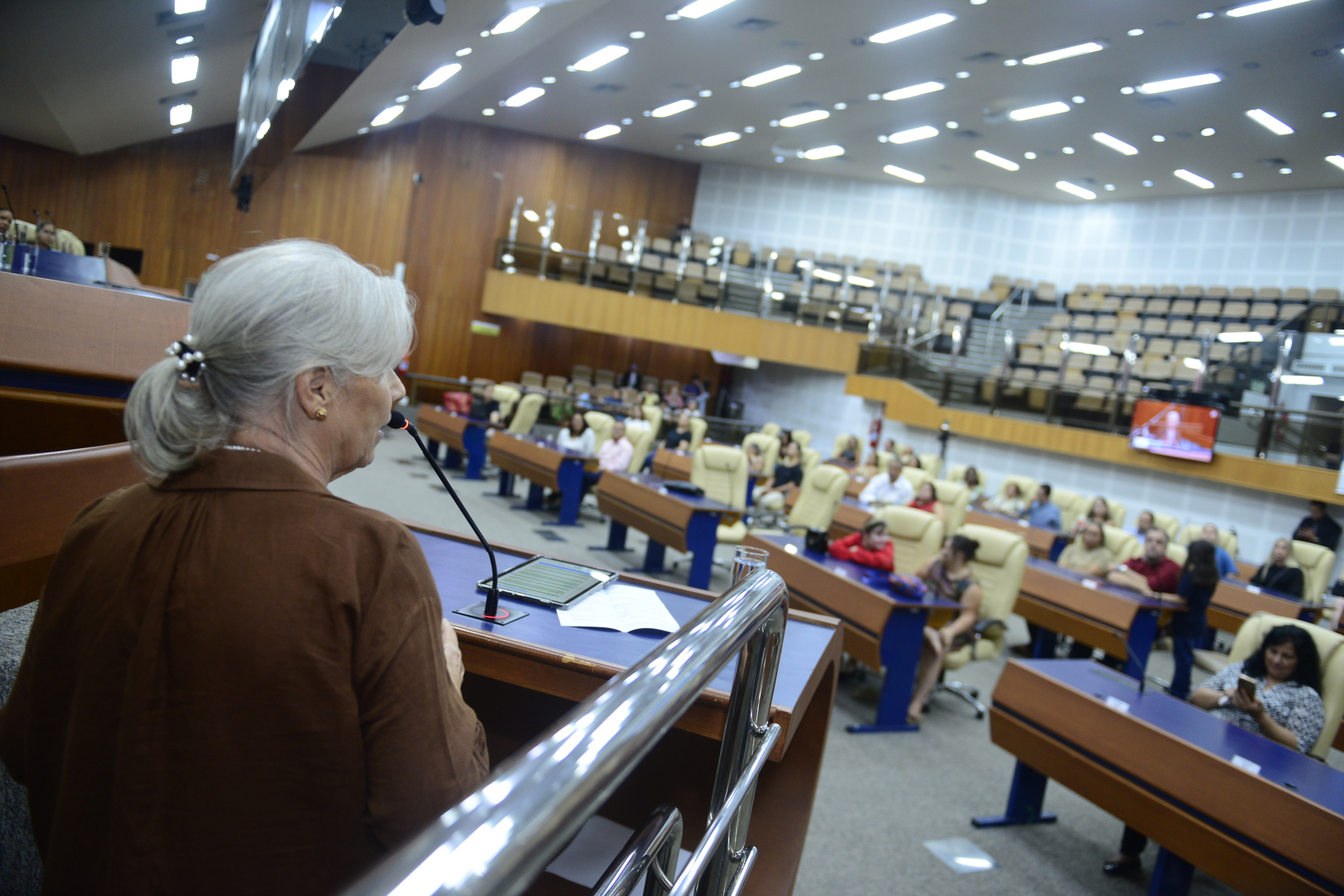 FOTO ANTONIO SILVA (43).JPG