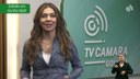 AO VIVO - Confira as notícias da Câmara desta terça-feira (2)