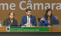 Audiência pública na Câmara debate a revitalização do centro de Goiânia