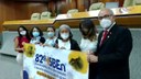 Câmara discute os desafios da enfermagem durante a pandemia