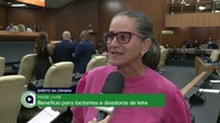 Lactantes e doadoras de leite humano poderão ter transporte gratuito