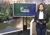 Semana na Câmara destaca iniciativa para uso de energia solar no abastecimento de veículos elétricos