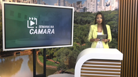 Semana na Câmara destaca prioridade no transporte coletivo para pacientes que tratam doenças graves