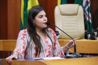 Aprovado projeto com novas regras para transporte escolar na Capital