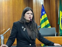 Câmara aprova criação do Calçadão da Rua 8