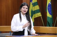 Aprovados pela CCJ projetos para beneficiar mães estudantes e mulheres vítimas de violência