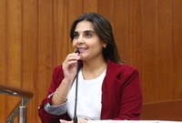 CCJ aprova criação de Carteira de Identificação da Pessoa com Câncer