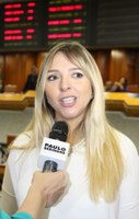 Cai proposta que visava criar Conselho dos Direitos Humanos LGBT