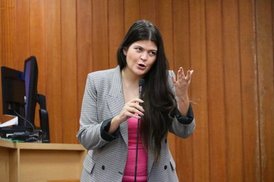 Câmara aprova campanha permanente de enfrentamento ao assédio materno