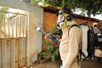 Câmara derruba veto a projeto que auxilia na prevenção de casos de dengue