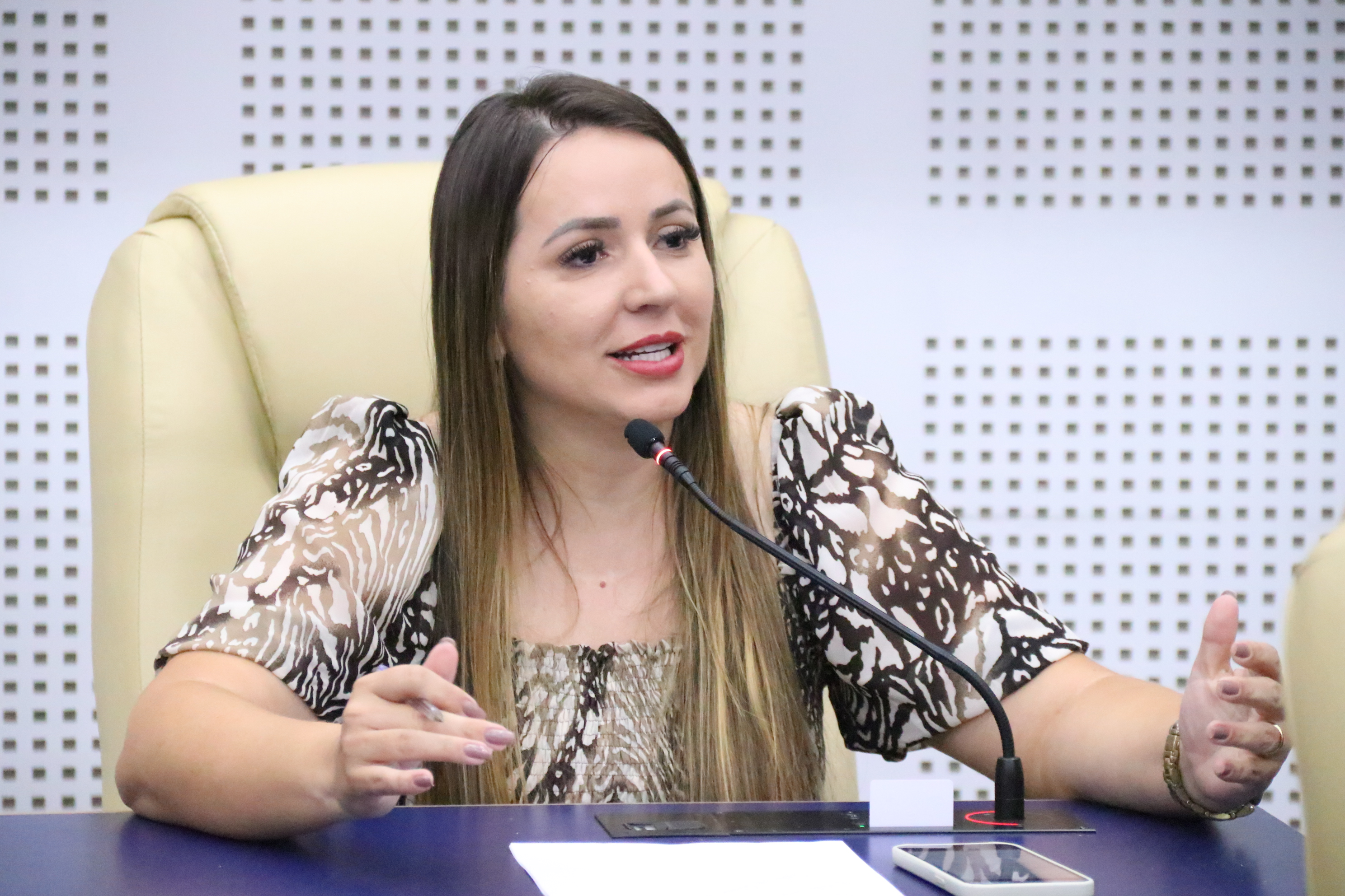 Câmara deverá ganhar Galeria de Vereadoras