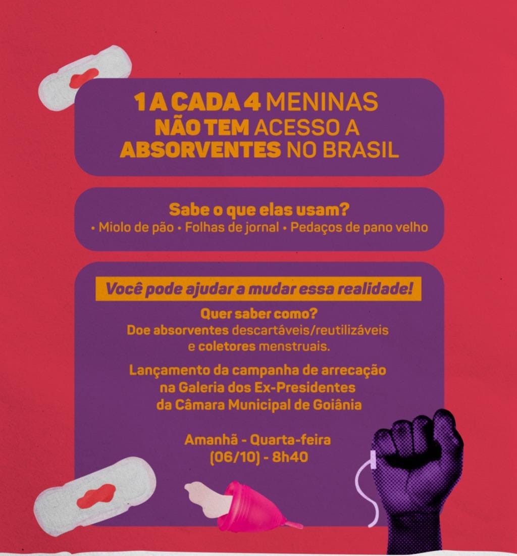 Câmara é ponto de coleta de absorventes para mulheres e meninas de baixa renda