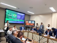 CCJ aprova projetos destinados ao combate à violência contra a mulher