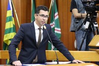 Poda de árvores poderá ser feita por empresas privadas