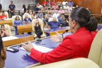 Código de Posturas: audiência pública discute novas regras para funcionamento de pit-dogs