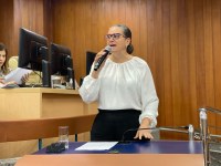 Plenário aprova inclusão do Encontro de Brechós no Calendário Cultural e no Mapa Turístico de Goiânia