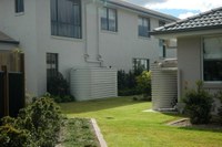 Comissão aprova projetos sobre uso de água pluvial e plantio de árvores