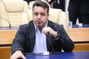 Em Comissão Mista, emenda parlamentar sugere substituir jamelões por árvores nativas do cerrado Em Comissão Mista, emenda parlamentar sugere substituir jamelões por árvores nativas do cerrado