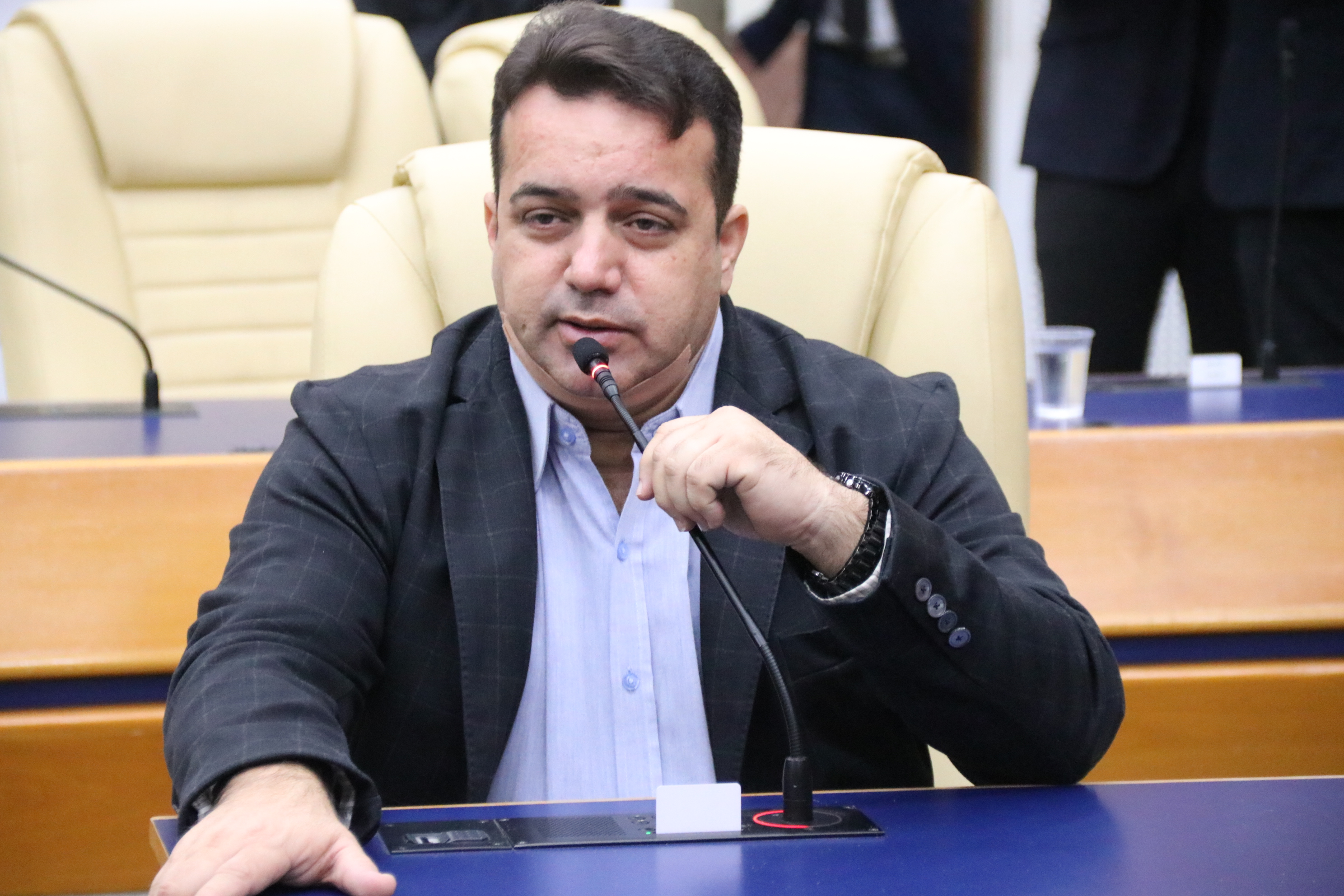 Em Comissão Mista, emenda parlamentar sugere substituir jamelões por árvores nativas do cerrado