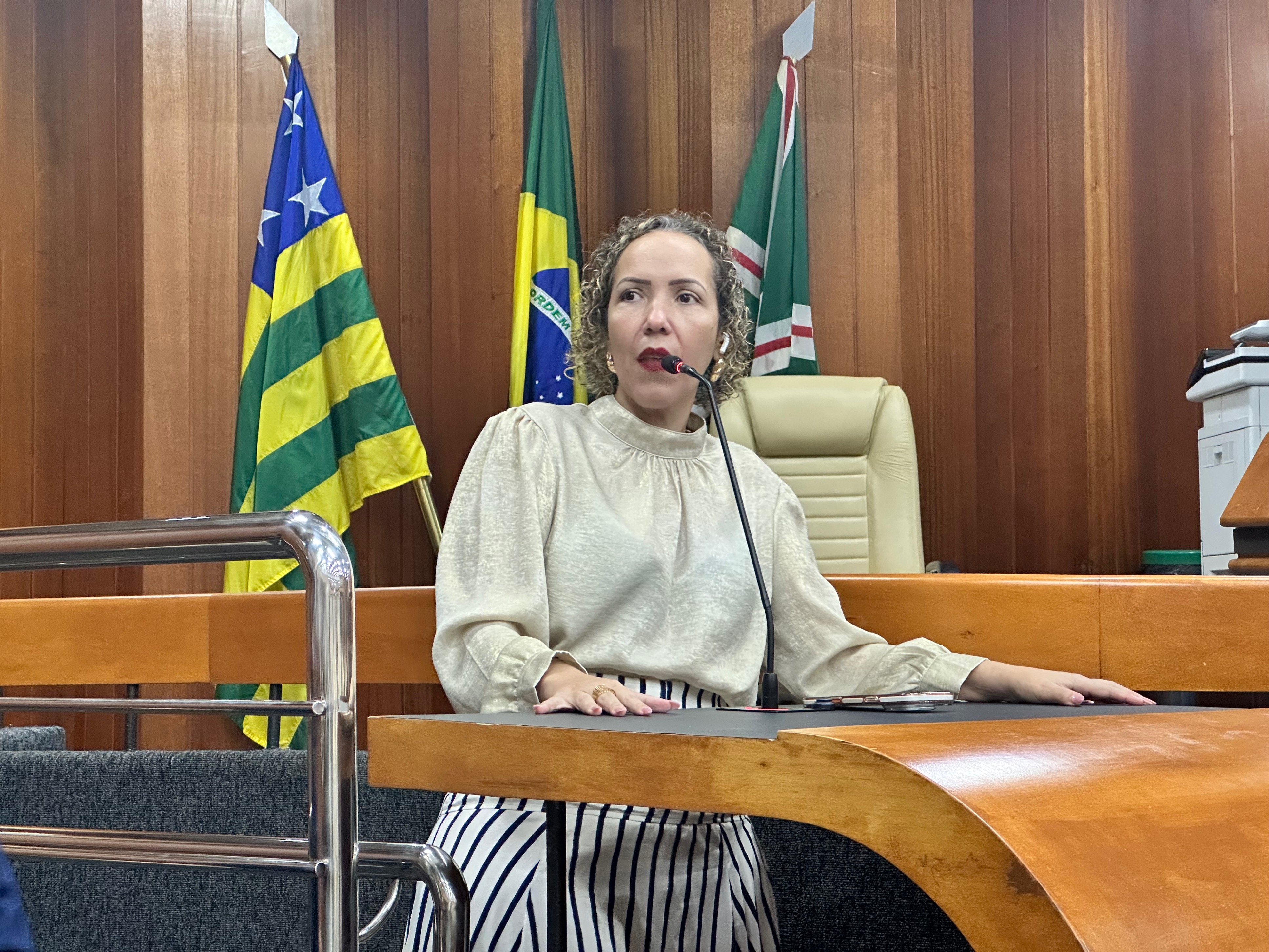 Plenário aprova criação da Política Municipal de Gestão Emocional na Gestação e no Pós-Parto