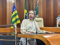 Plenário aprova criação da Política Municipal de Gestão Emocional na Gestação e no Pós-Parto