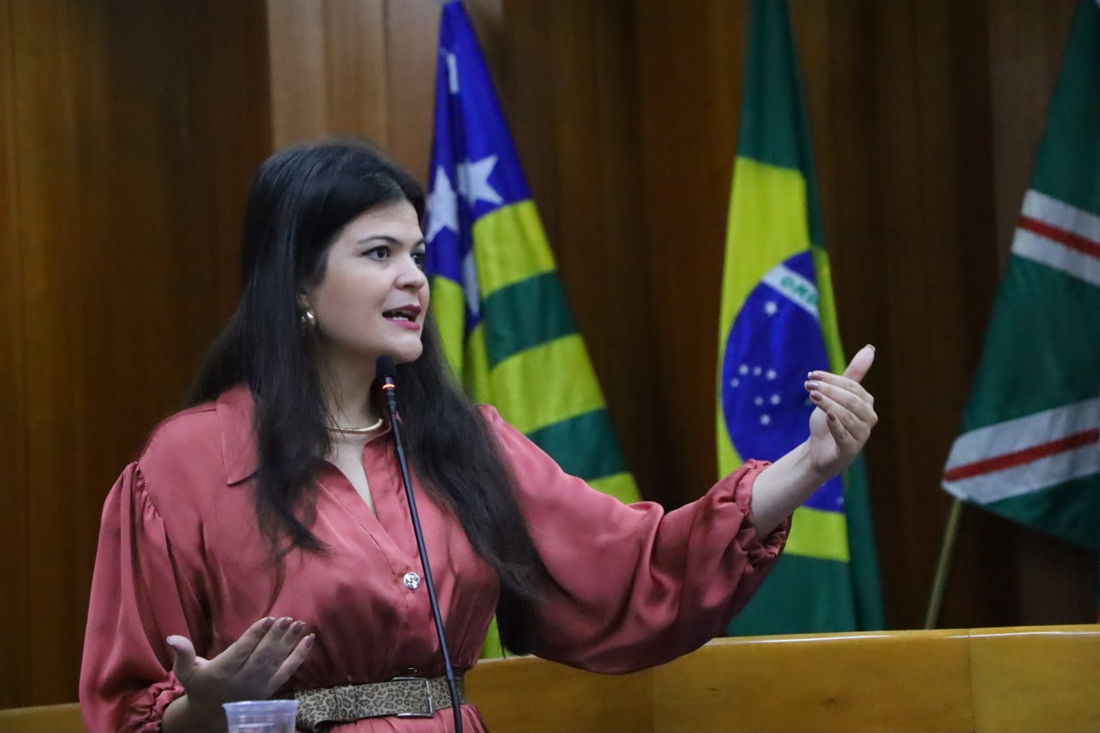 Sancionada lei que simboliza luta contra encarceramento da juventude negra em Goiânia