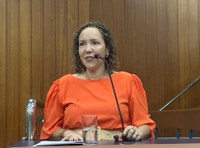 Plenário aprova substituição de postes de madeira por outros mais resistentes