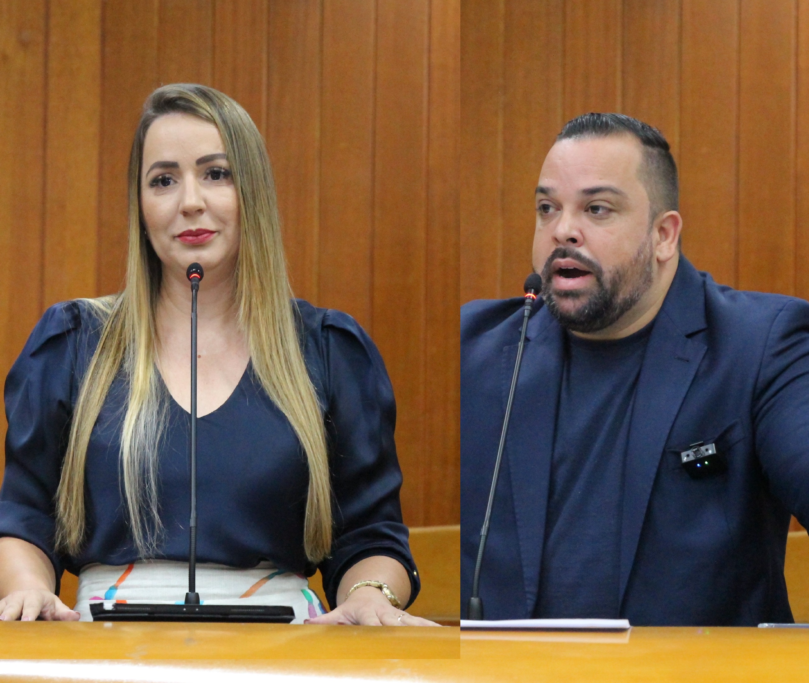 Matérias aprovadas na CCJ concedem benefícios fiscais e cortesias em eventos