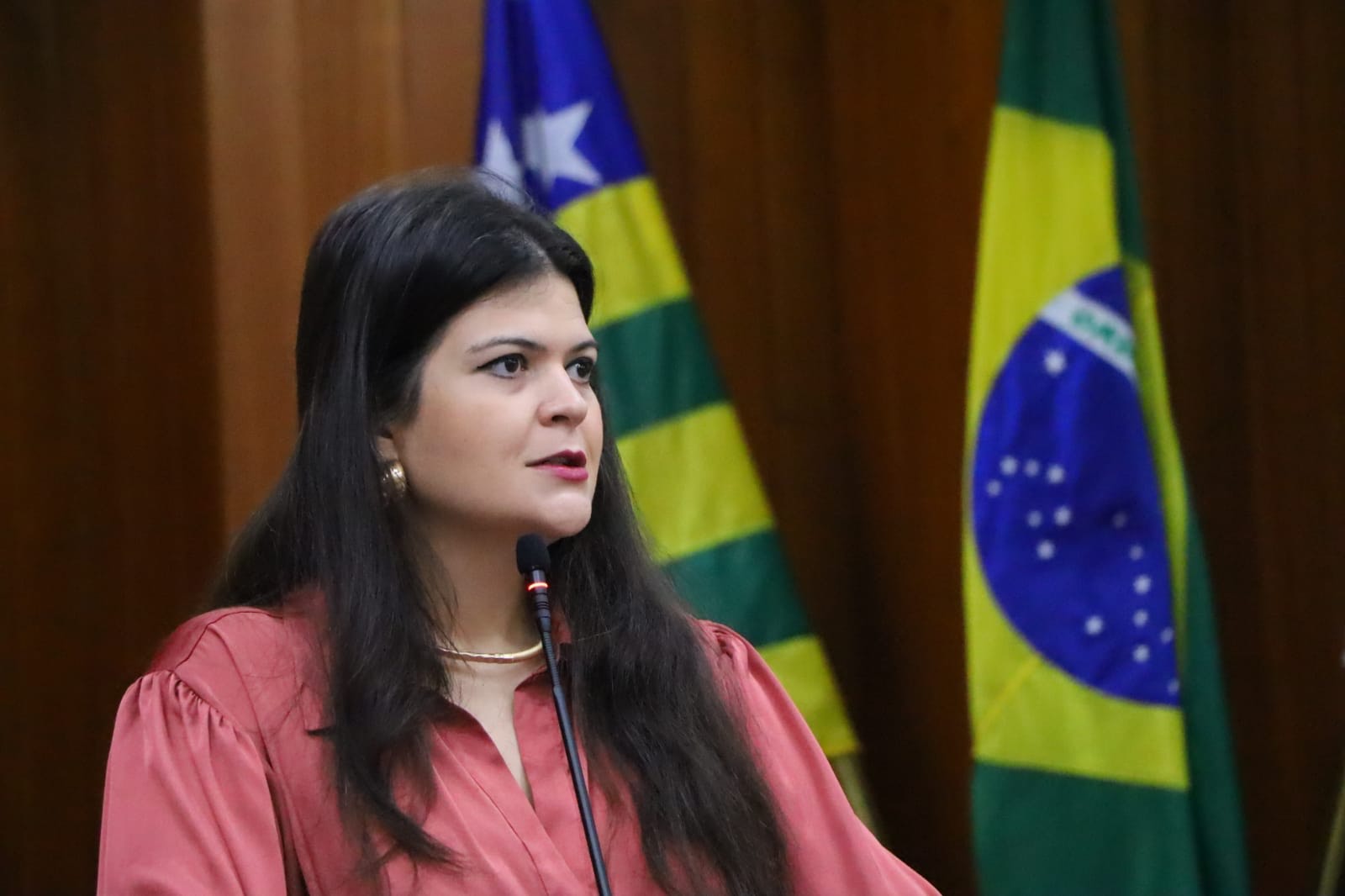 Movimento 'Compre de uma Feirante' busca fortalecer trabalho de mães em feiras